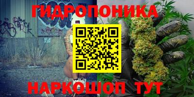 a pvp Жуковский