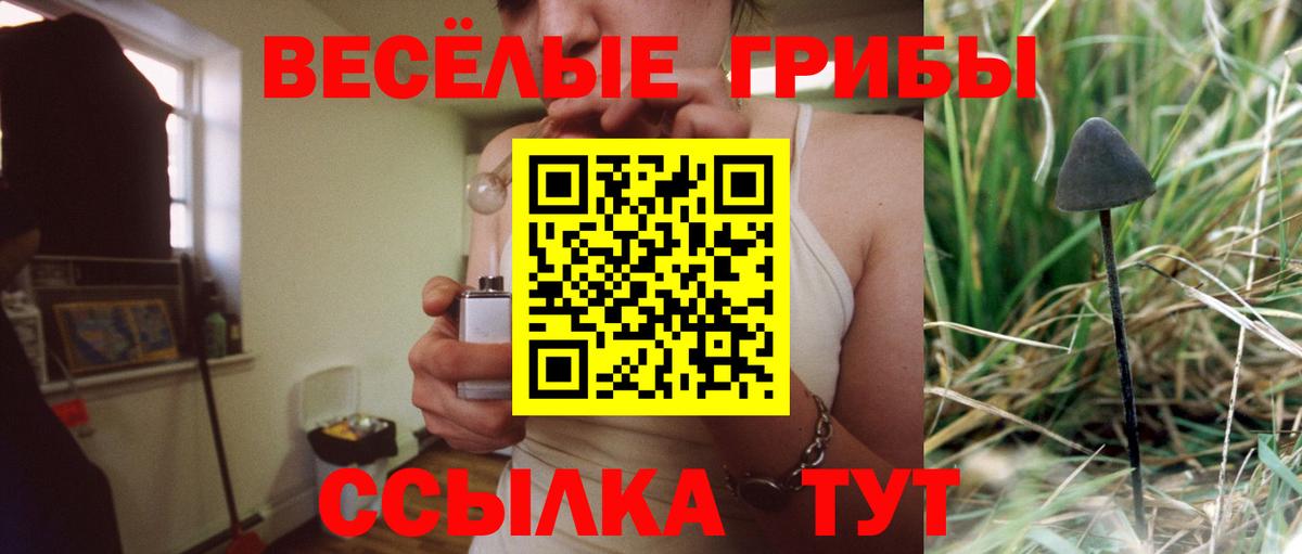 Псилоцибиновые грибы мухоморы Урус-Мартан