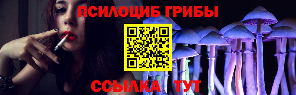 Галлюциногенные грибы Psilocybine cubensis  Вход с VPN  Урус-Мартан  Псилоцибиновые грибы Psilocybine cubensis 
